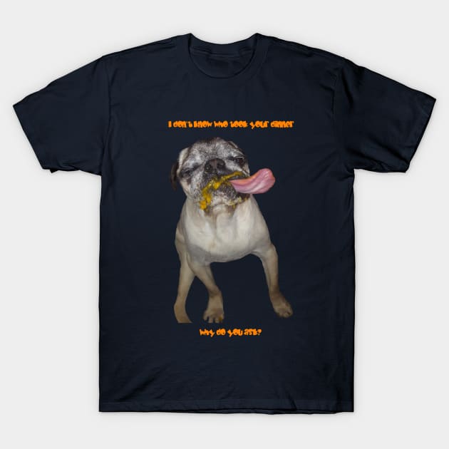 Who ate your dinner? T-Shirt by Nerds From Nowhere